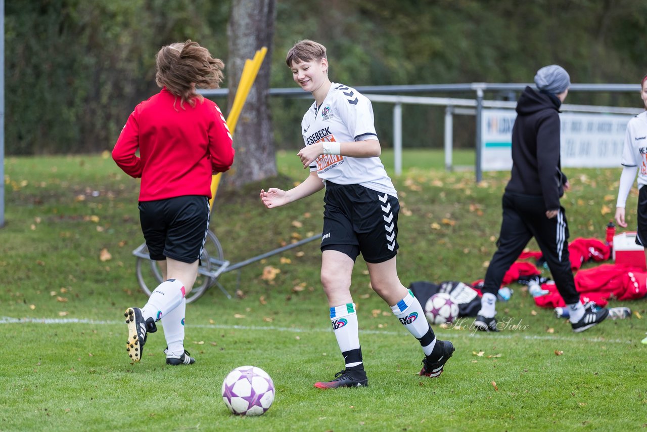 Bild 83 - B-Juniorinnen SV Henstedt Ulzburg - Hamburger SV : Ergebnis: 2:3